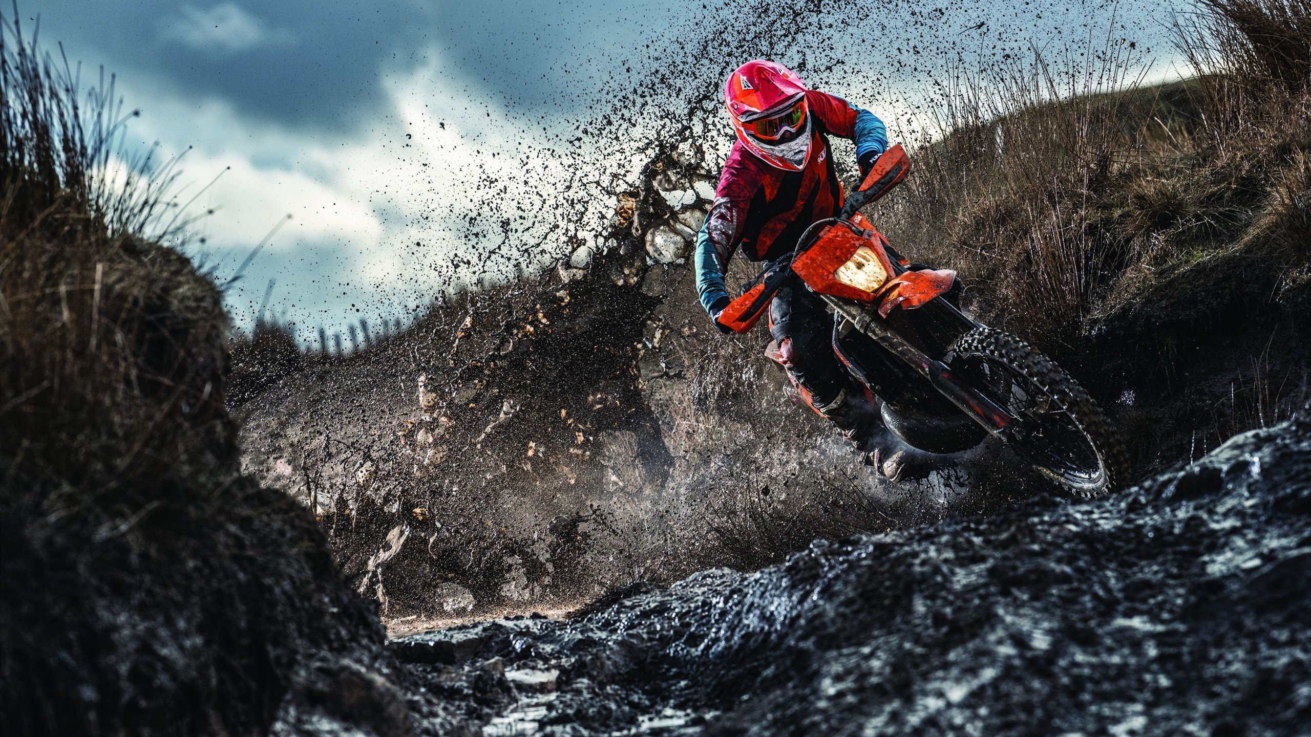 中国速度滑冰队世锦赛摘金 小将张悦打破500米纪录